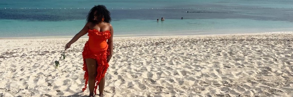 stungbybre's profile banner image