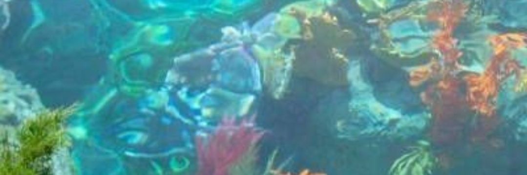 kanatafishyfish's profile banner image