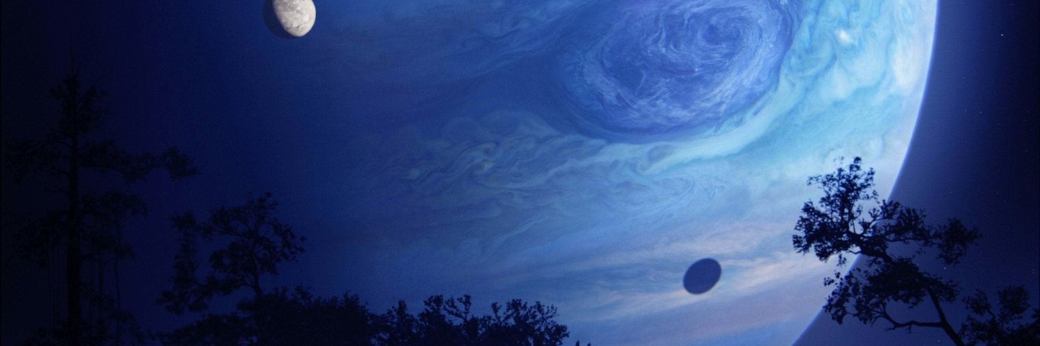 Baijiu/白酒🏳️‍🌈 banner