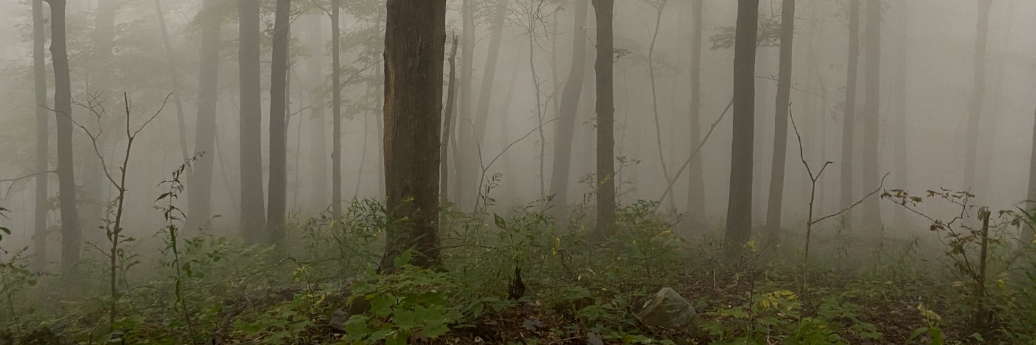 Str8tauk's profile banner image