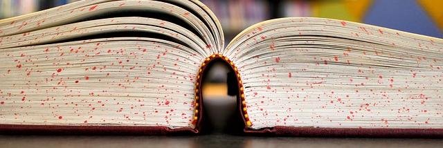 Sharon 🦋 sharonreader2 ForTHEEPeople banner