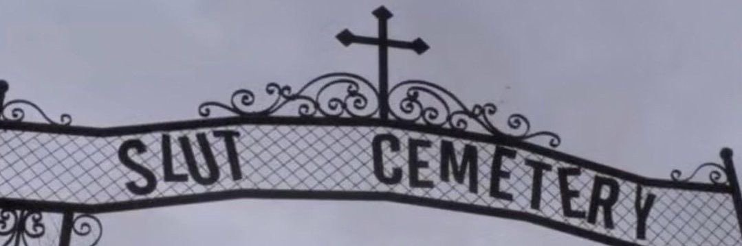 baby scar🕷️ banner