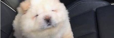 yunikus_fun's profile banner image