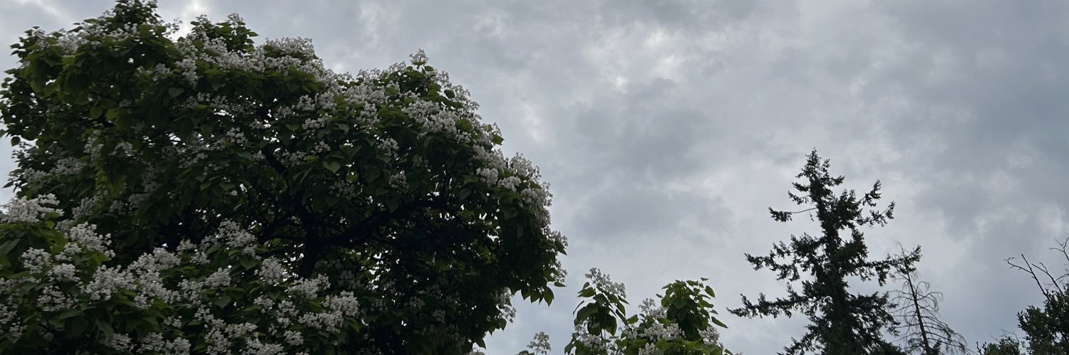 CeeLeeLEMT's profile banner image