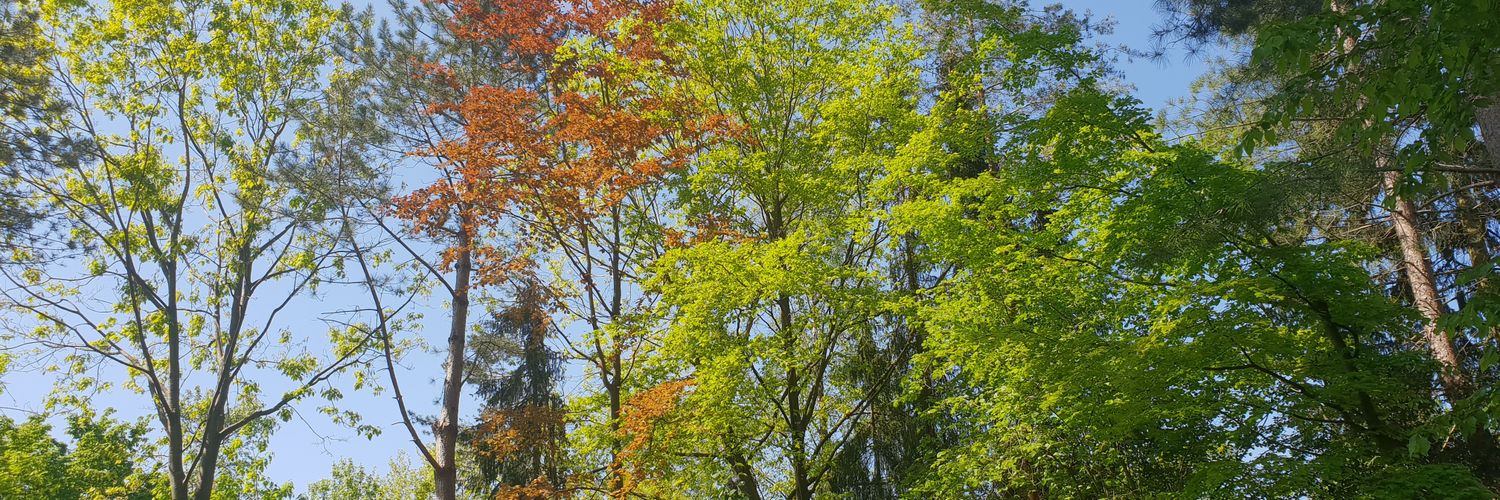 Livia De Picker🌻 banner