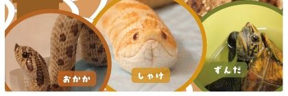 sweetteaolive's profile banner image