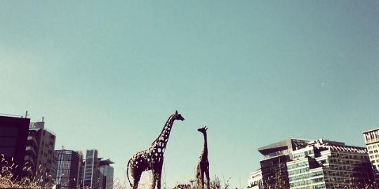 Intanluspiani's profile banner image