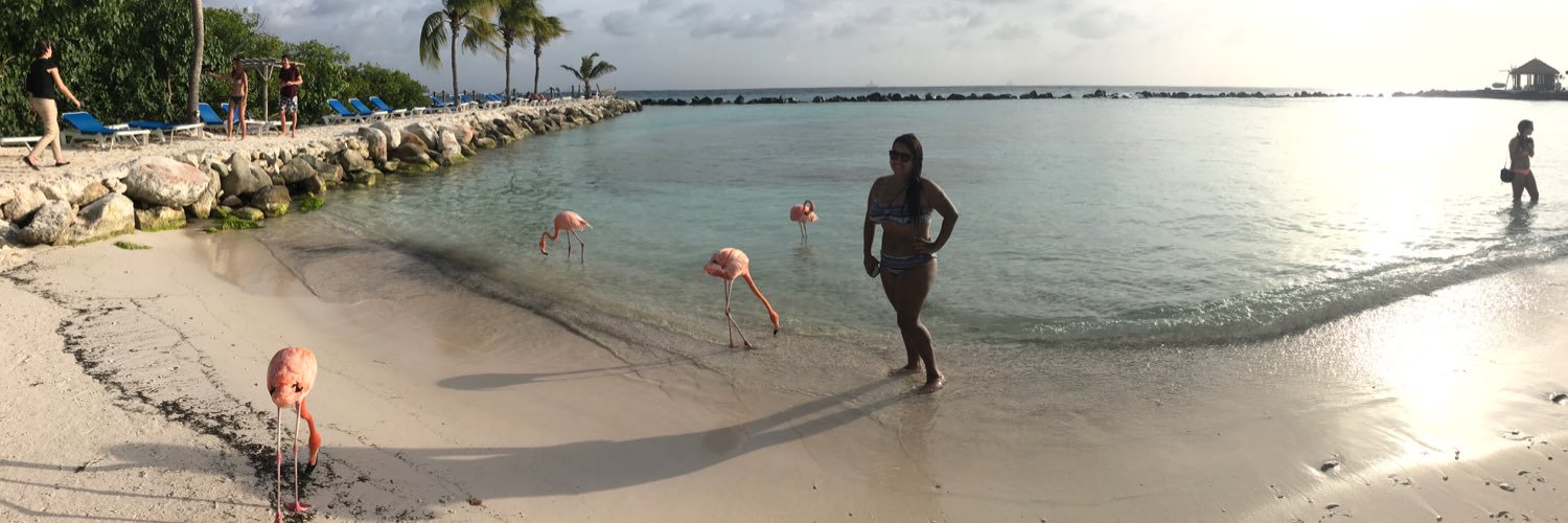 LinaMMLz's profile banner image