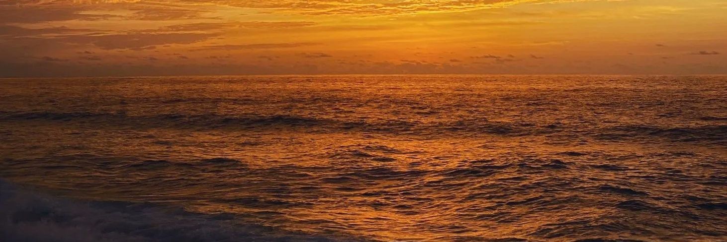 manvithareddyyy's profile banner image