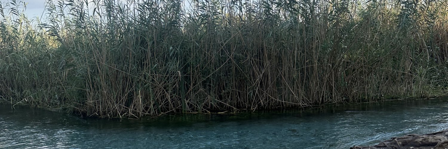 KarmenPandis's profile banner image