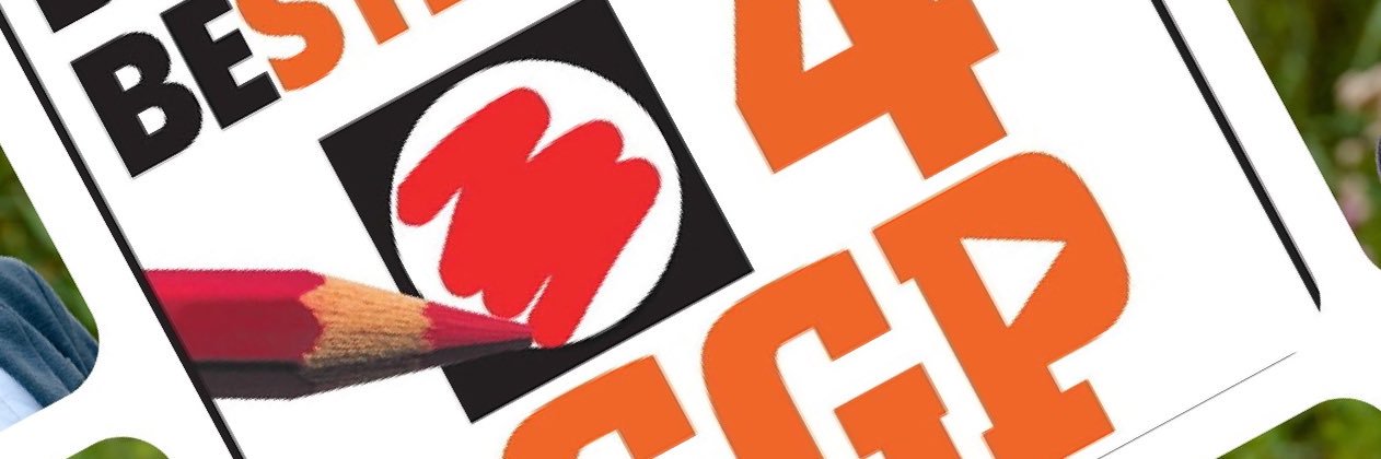 SGPLeerdam's profile banner image