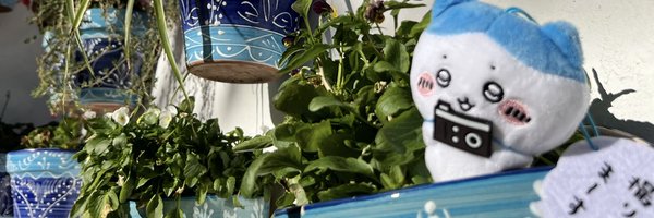 kuu_fuku__ Profile Banner