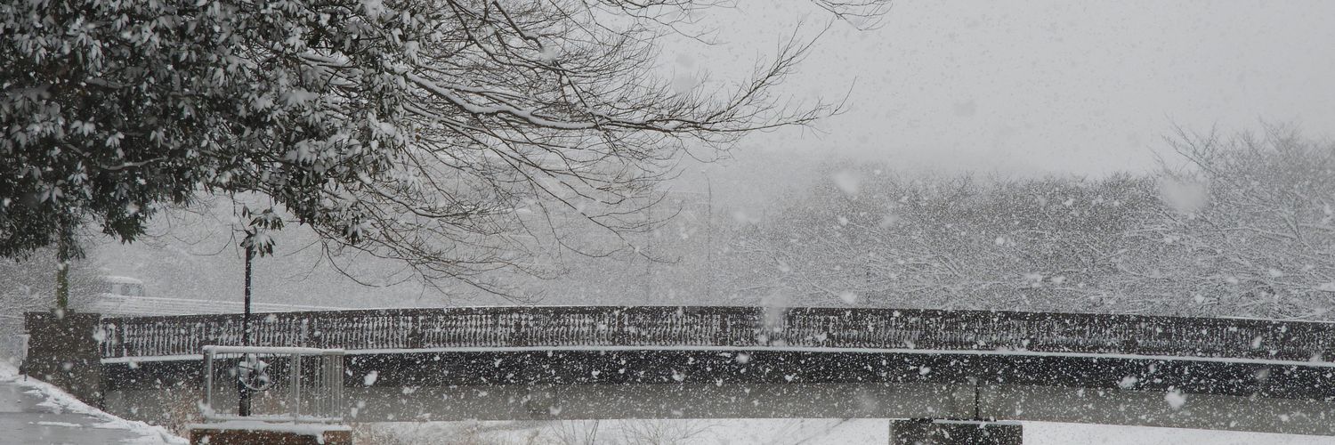 ザコっち@釣り,CBR400R’13,カメラ初心者 banner