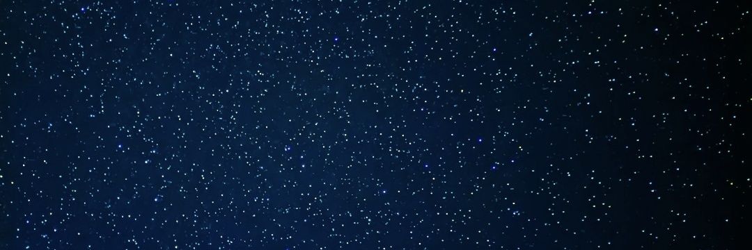 Anthony Papi banner