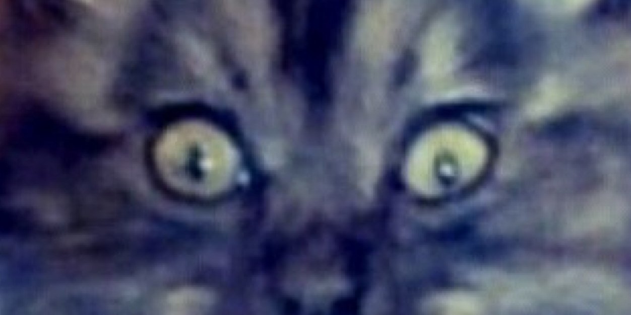 Bo0orySweet's profile banner image