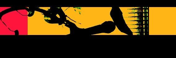 somfunk's profile banner image