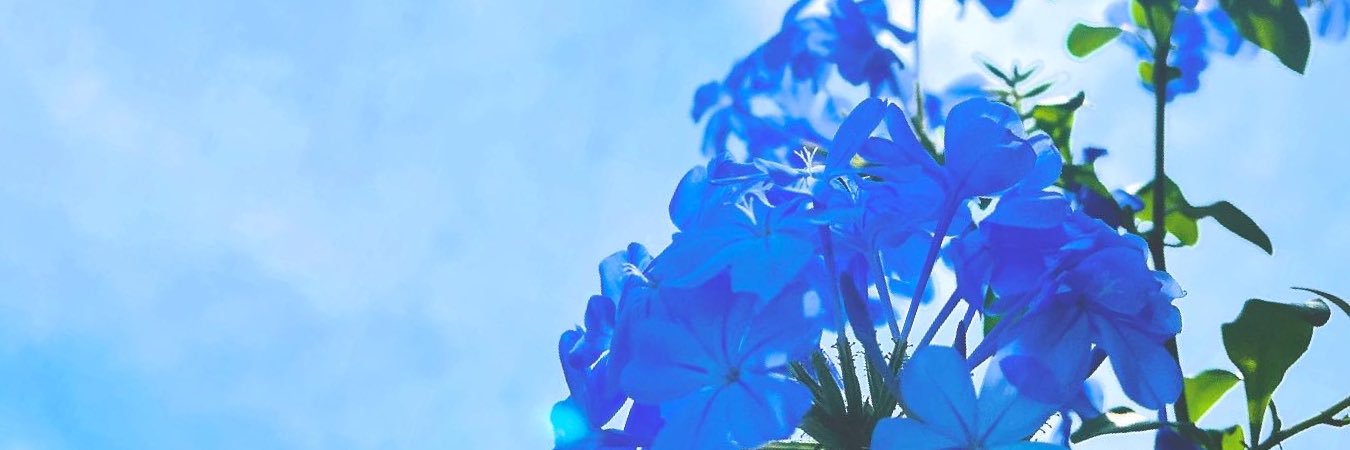 co_calm28's profile banner image