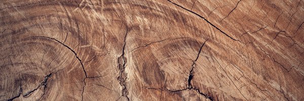 FoxCraftWood Profile Banner