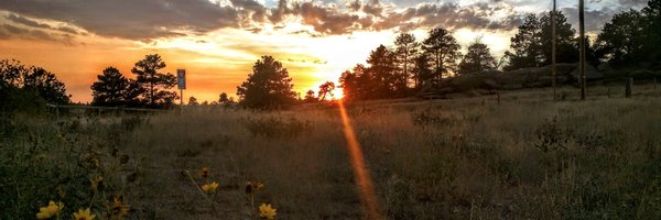 jasonmonster Profile Banner