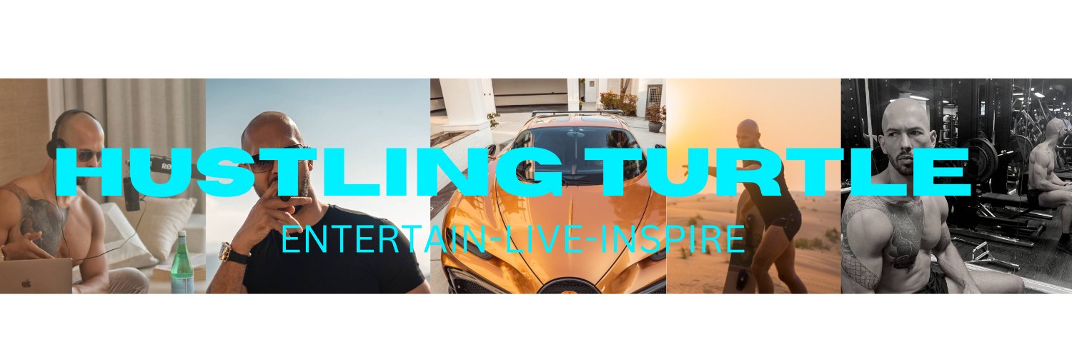 soaringeaglesss's profile banner image