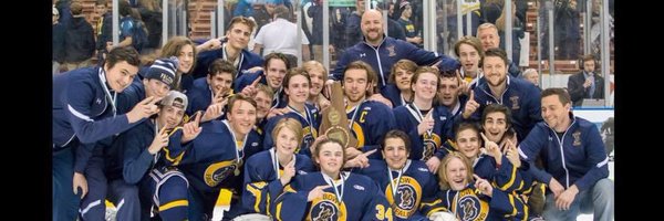 FalconsPuck Profile Banner