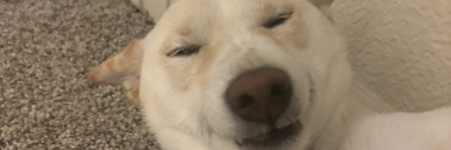 _kennedycox's profile banner image