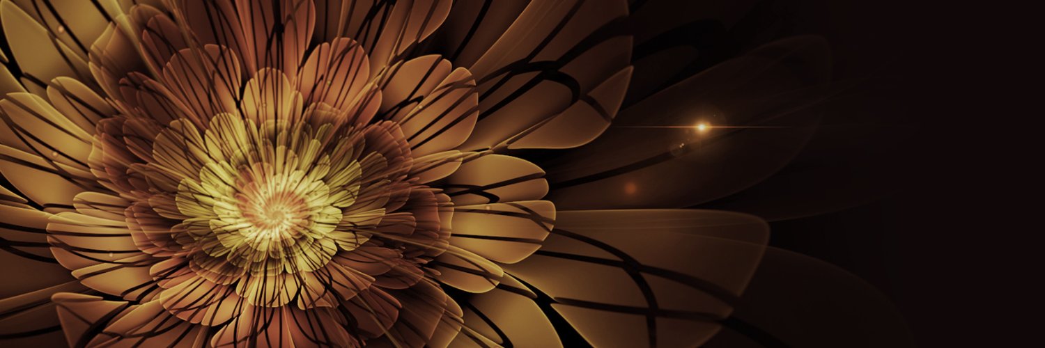 Sharon Colom| ETHGas ⛽ banner