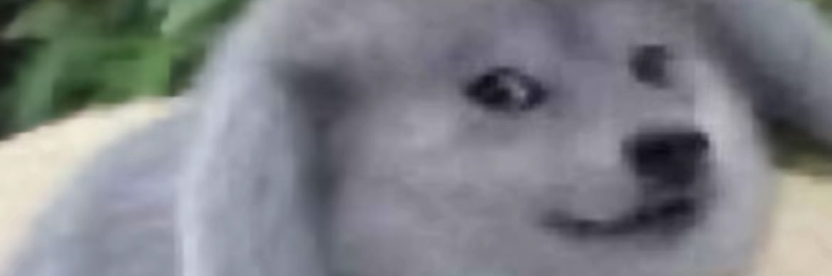 visiders_'s profile banner image