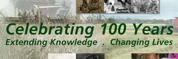 Extension 100 Years banner