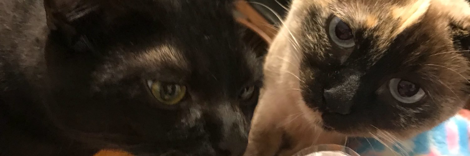 harupg's profile banner image