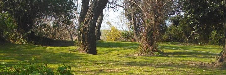 Pablo Balenzuela 🇦🇷⭐️⭐️⭐️ banner