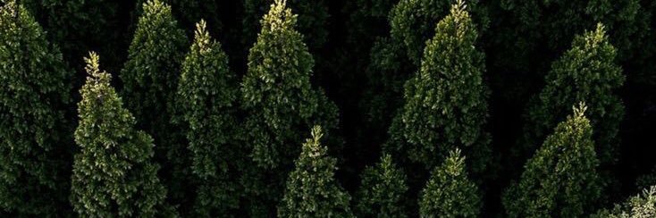 IariCorrea6's profile banner image