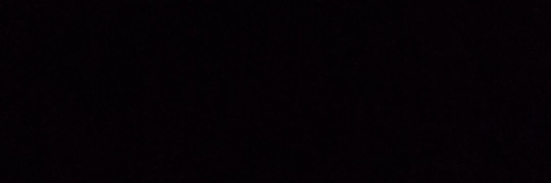Toadettelocksee's profile banner image