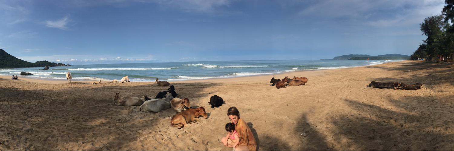 Dan Eblagon Pesso banner