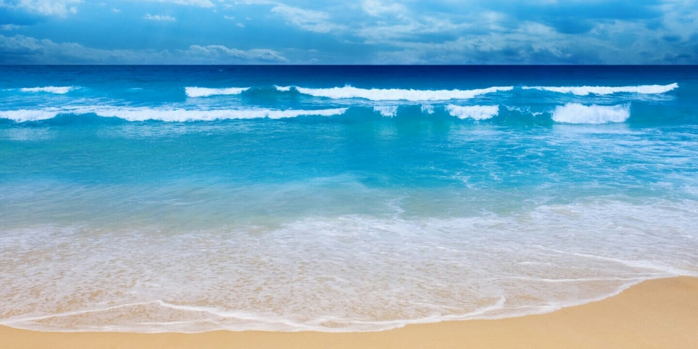 Libertee Thompson banner