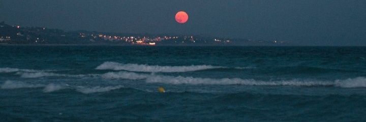 mertustoglu's profile banner image