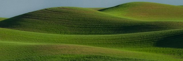 faisal11554's profile banner image