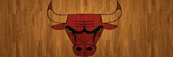 Die-Hard Chicago Bulls Fans Profile Banner