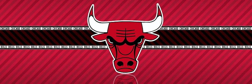 Die-Hard Chicago Bulls Fans banner