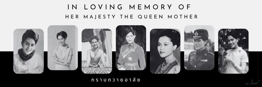 Σüλ³r ʕ •̀ o •́ ʔ 💛💜 banner