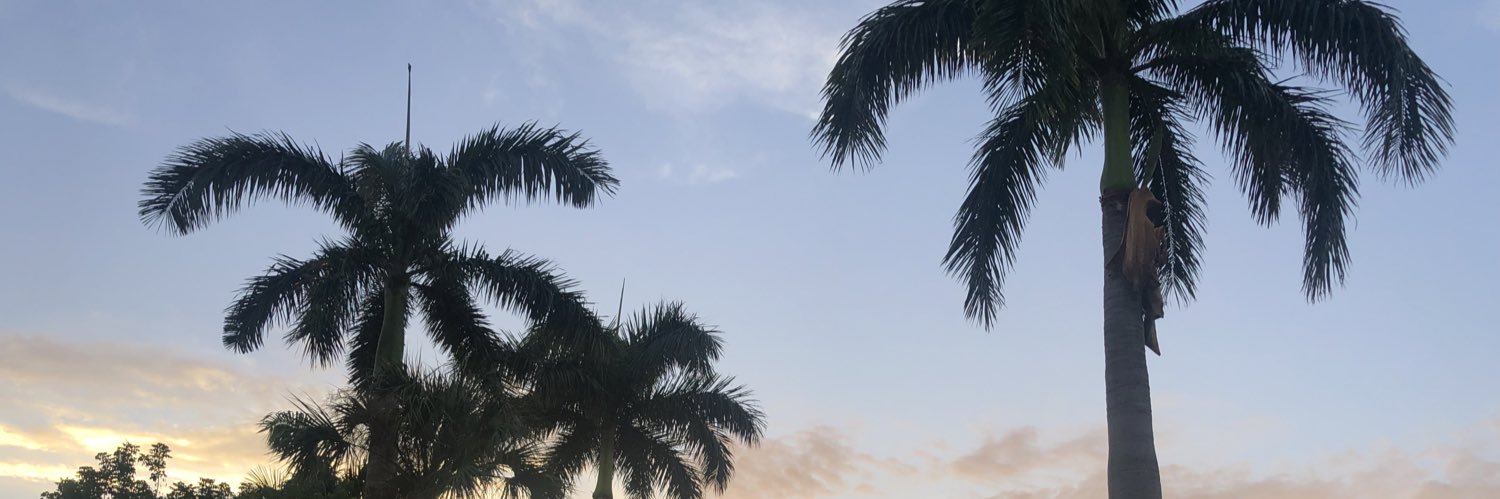 Comedybabe44's profile banner image