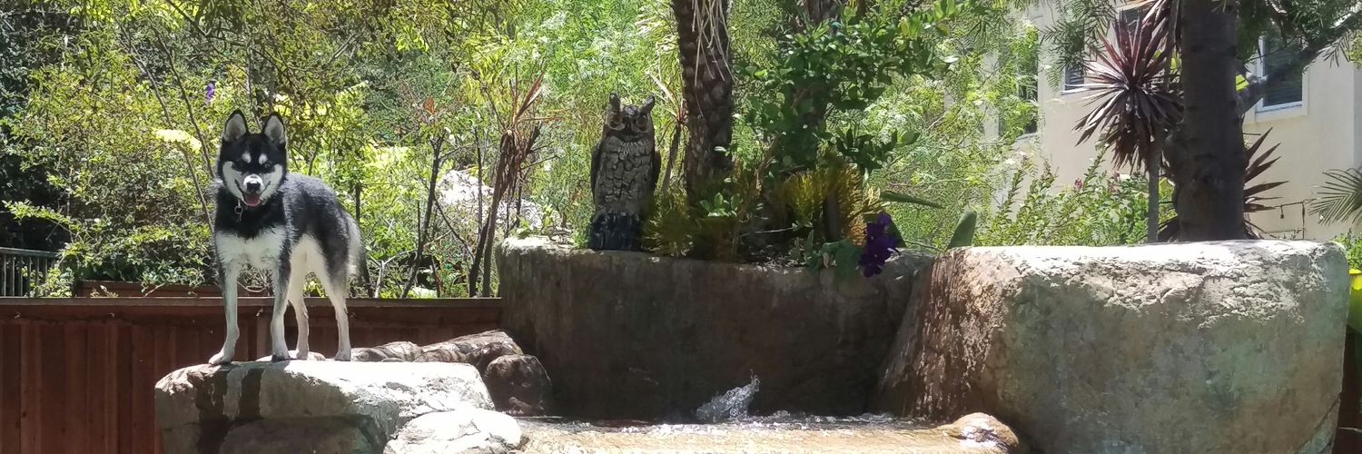 Zack Houghton banner