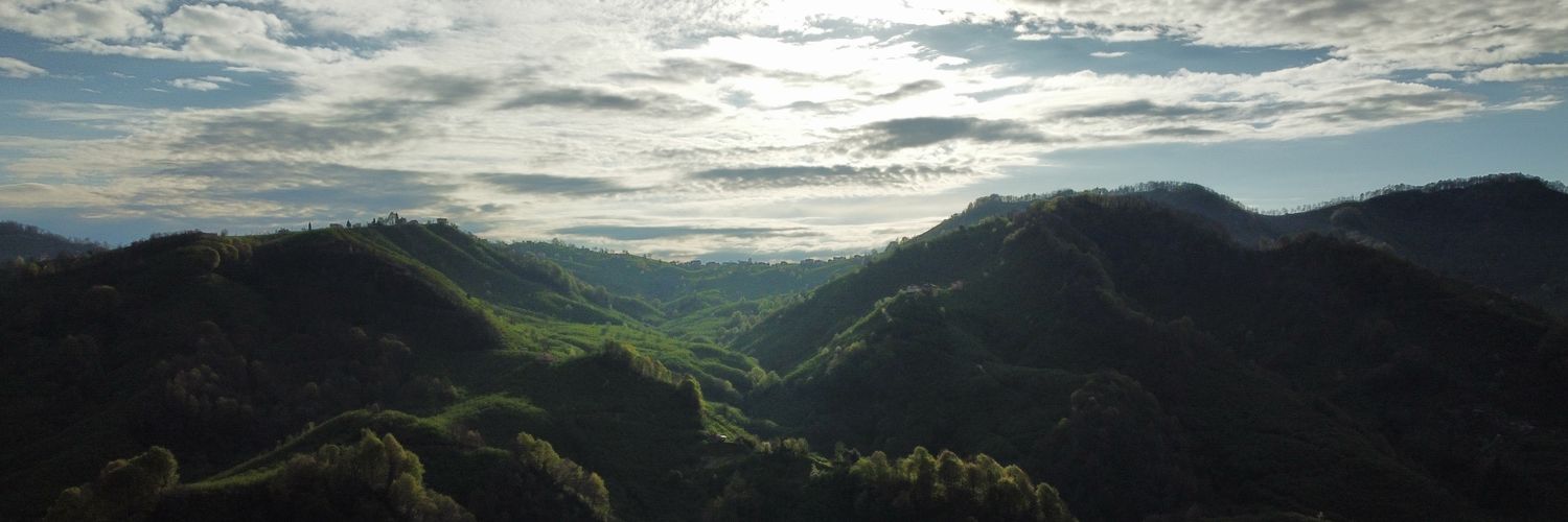erdisezer28's profile banner image