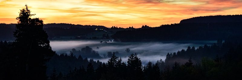 Marco 🇩🇪/🇵🇱 banner