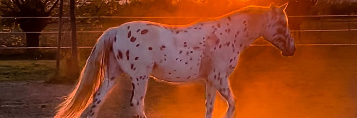 Glowing Gaspy ⭐️✨ banner