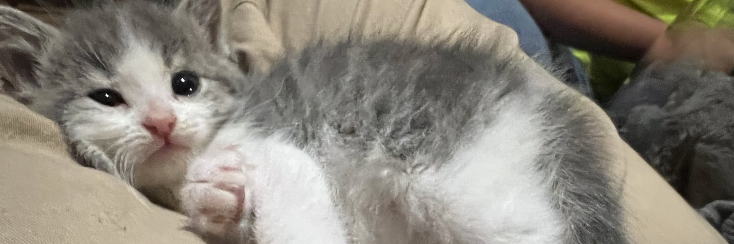 jesstkiiding's profile banner image