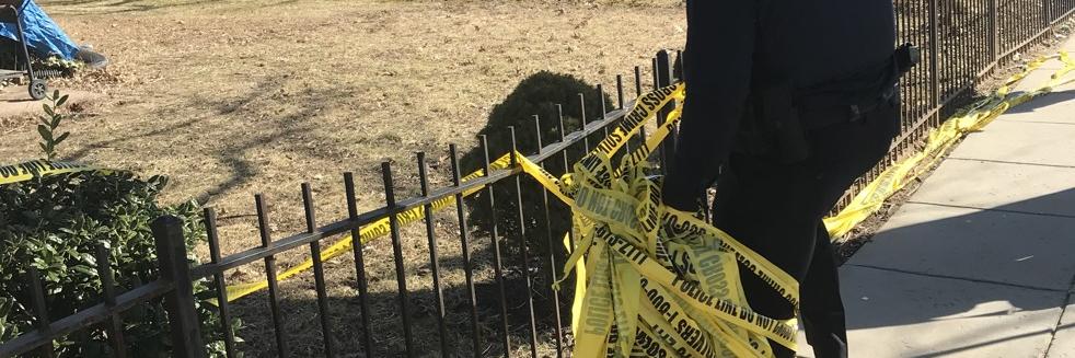 Peter Hermann banner