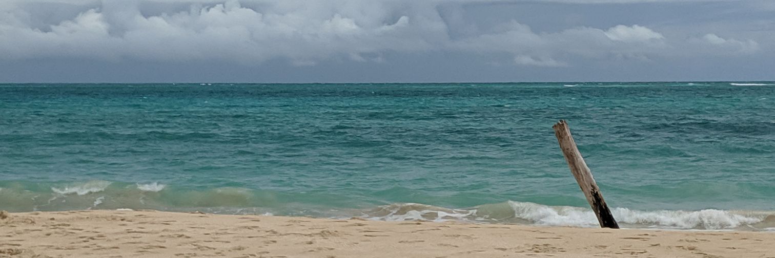 Brandon Tom banner