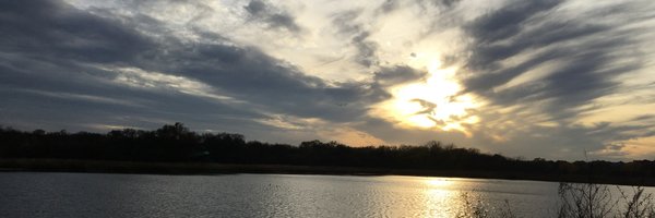 vlwigg Profile Banner