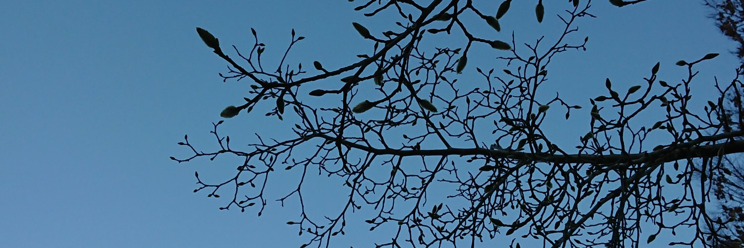 えり⊿ デジLIG卒 banner